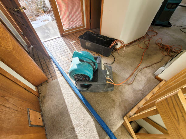 Best Fire Damage Restoration  in El Jon, CA