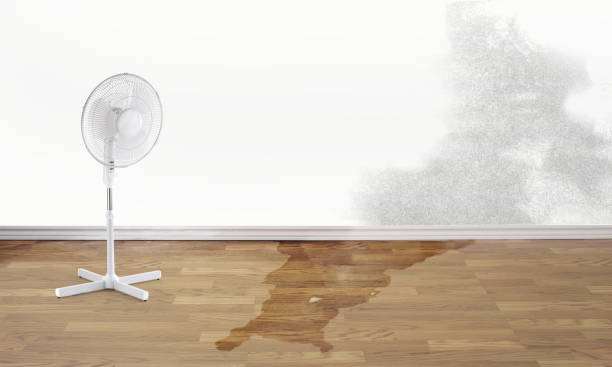 Best Flooded house restoration  in El Jon, CA