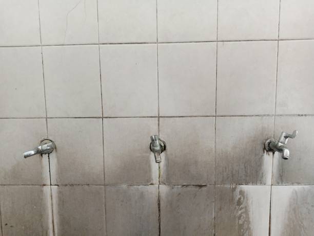 Best Emergency water damage restoration  in El Jon, CA