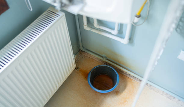 Best Water damage cleanup near me  in El Jon, CA