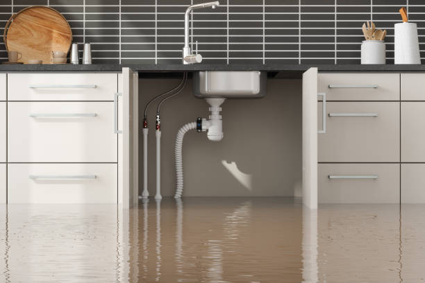 Best Flood damage cleanup  in El Jon, CA
