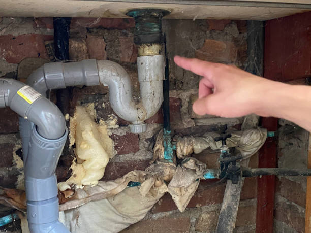 Reliable El Cajon, CA Water damage restoration Solutions